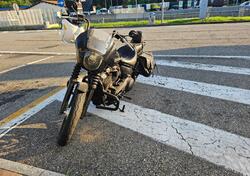 Harley-Davidson 107 Street Bob (2018 - 20) - FXBB usata