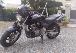 Honda Hornet 600 (2000 - 02) usata