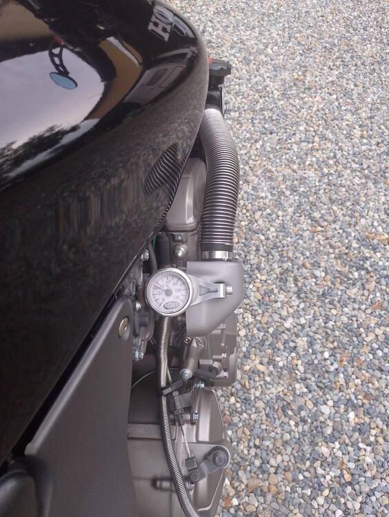 Honda Hornet 600 (2000 - 02) (4)