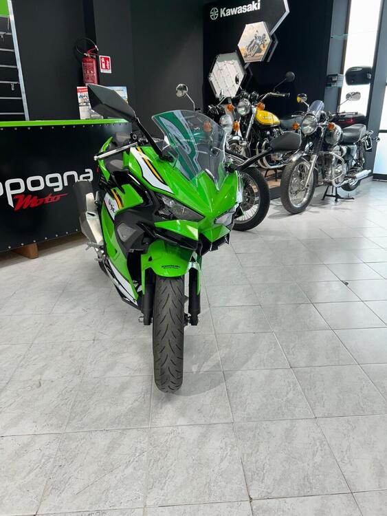 Kawasaki Ninja 500 SE Sport (2025 - 26)
