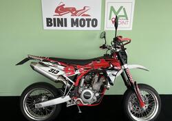 Swm SM 500 R (2015 - 16) usata