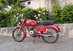 Benelli Leoncino d'epoca