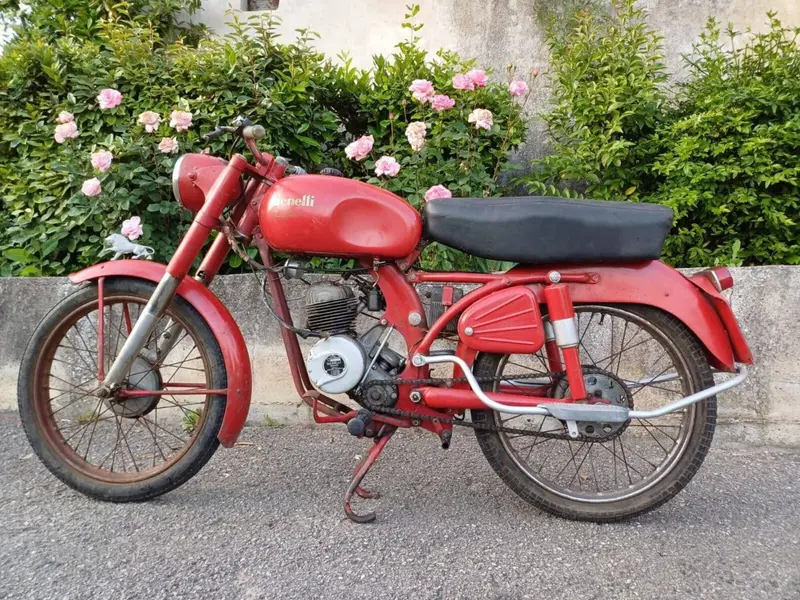 Benelli Leoncino (3)