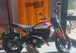 Ducati Scrambler 800 Icon (2023 - 25) usata