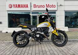 Ducati Scrambler 800 Icon (2023 - 25) usata