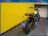 Ducati Scrambler 800 Icon (2021 - 22) (13)