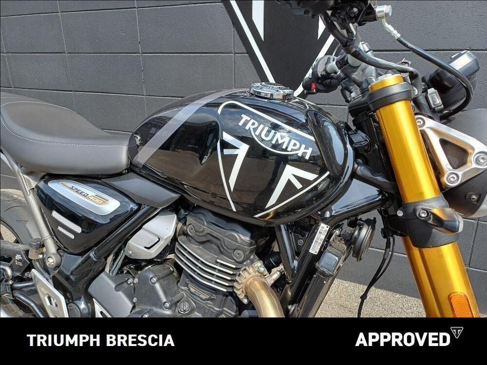 Triumph Speed 400 (2024 - 25) (5)