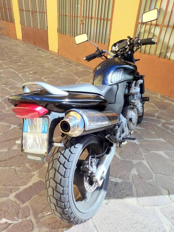 Honda Hornet 600 (2000 - 02) (5)