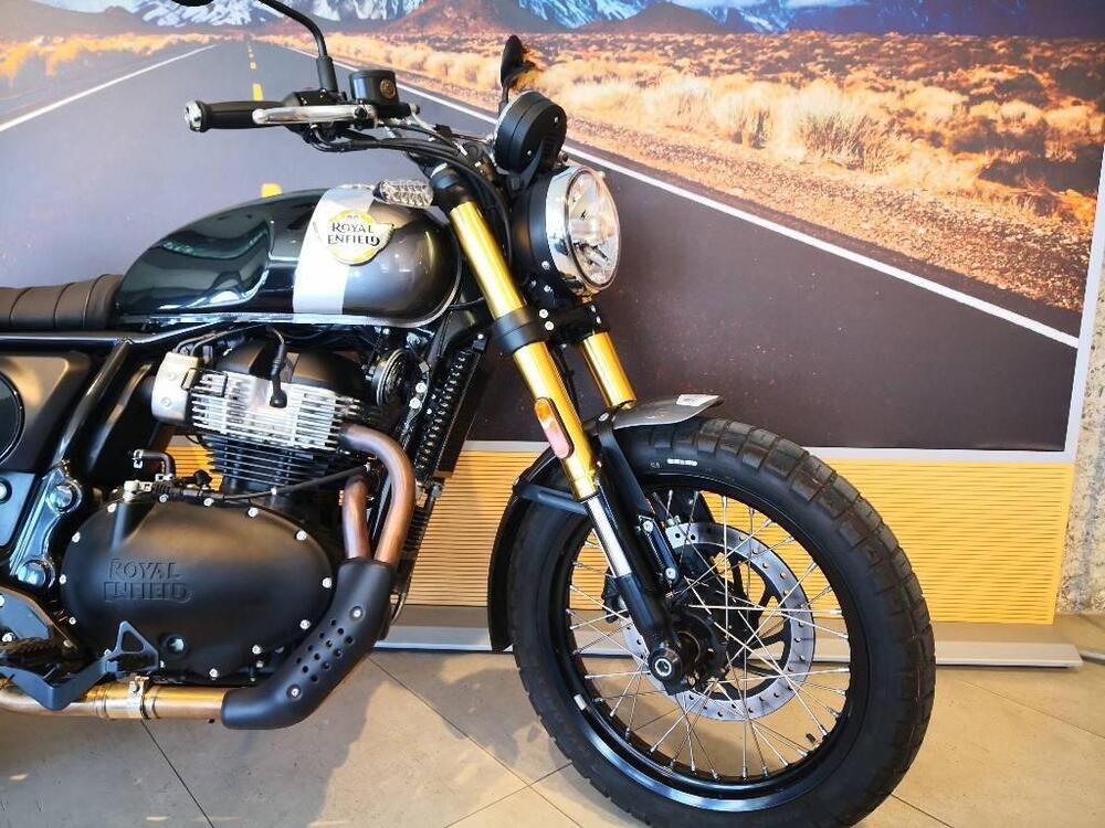 Royal Enfield Bear 650 (2025) (4)