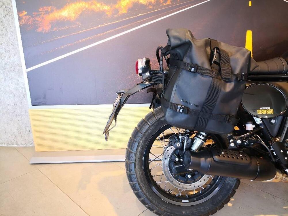 Royal Enfield Bear 650 (2025) (5)