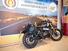 Royal Enfield Bear 650 (2025) (6)