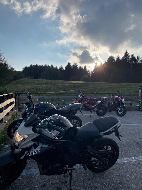 Kawasaki ER-6N ABS (2012 - 16) (2)