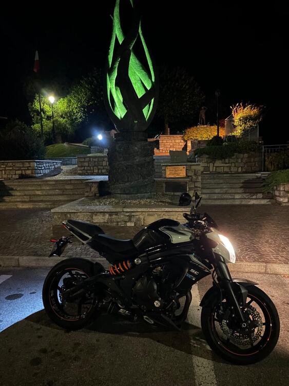 Kawasaki ER-6N ABS (2012 - 16) (3)