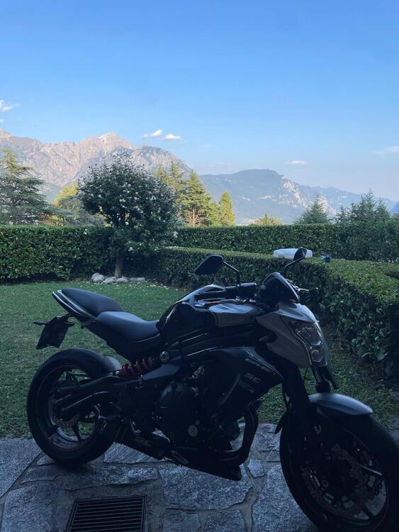 Kawasaki ER-6N ABS (2012 - 16) (5)