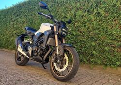 Honda CB 300 R (2020 - 21) usata