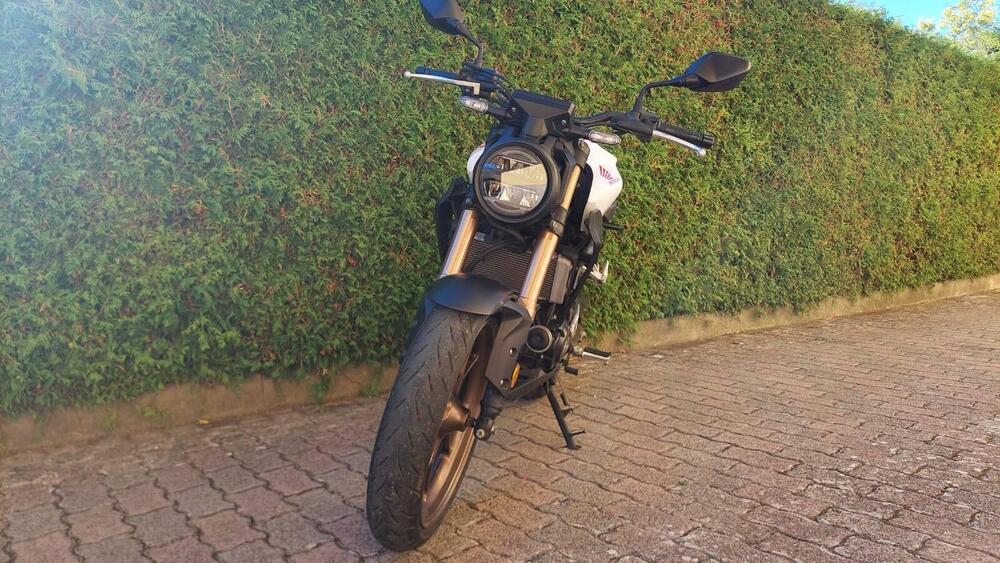 Honda CB 300 R (2020 - 21) (3)