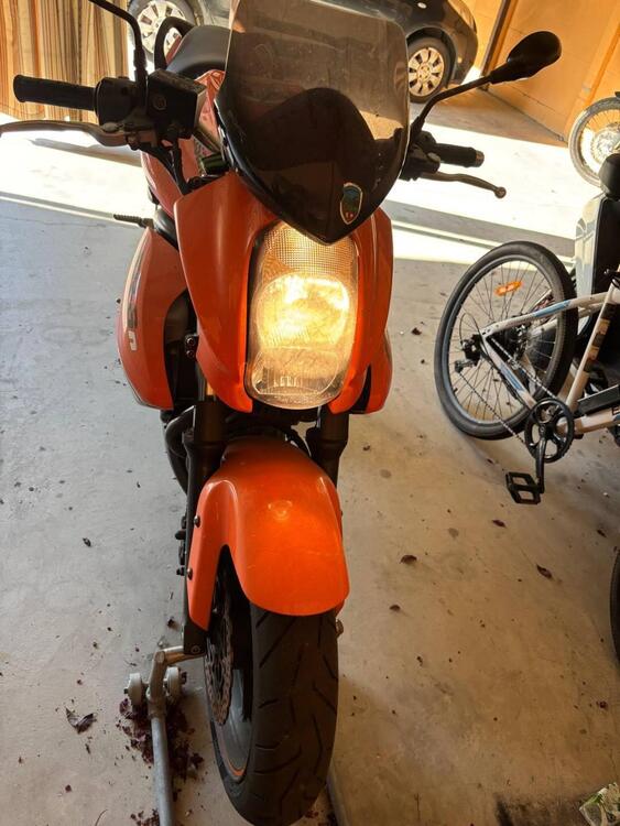 Kawasaki ER-6N (2009 - 11) (3)