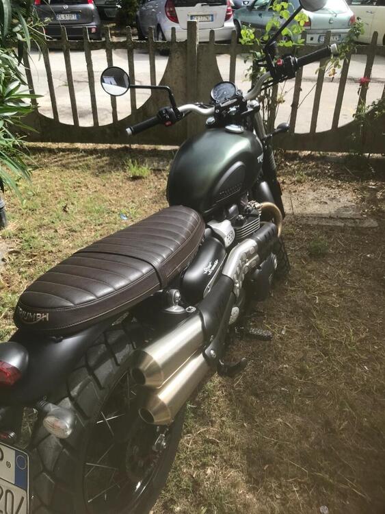 Triumph Street Scrambler 900 (2019 - 20)