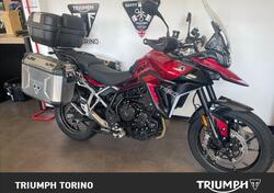 Triumph Tiger 900 GT Pro (2024 - 25) usata