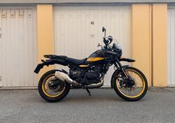 Royal Enfield Himalayan 450 (2024 - 25) usata