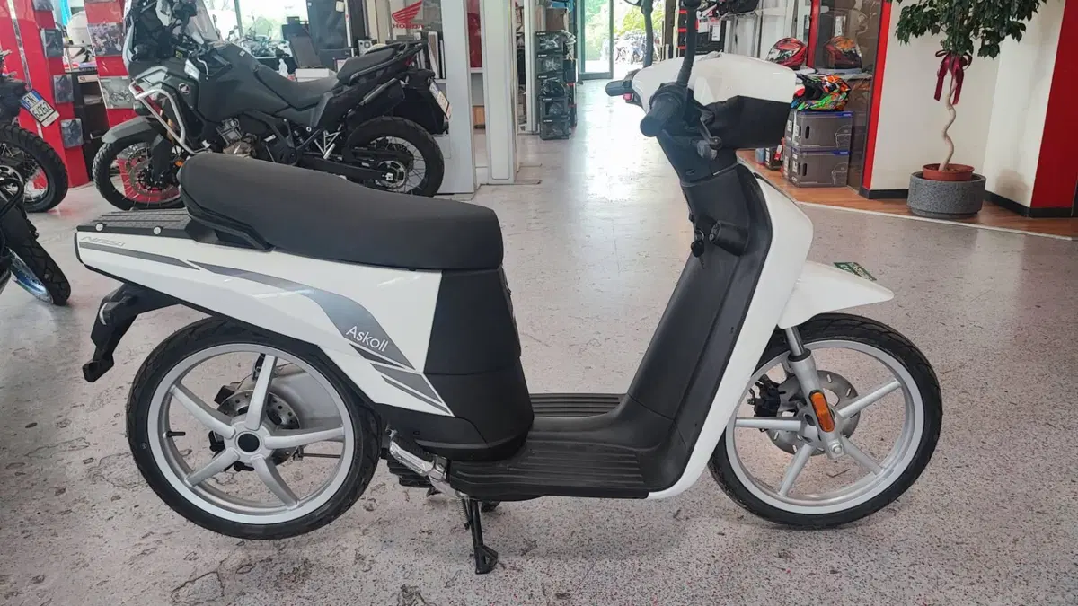 Askoll NGS 3 (2019 - 26)
