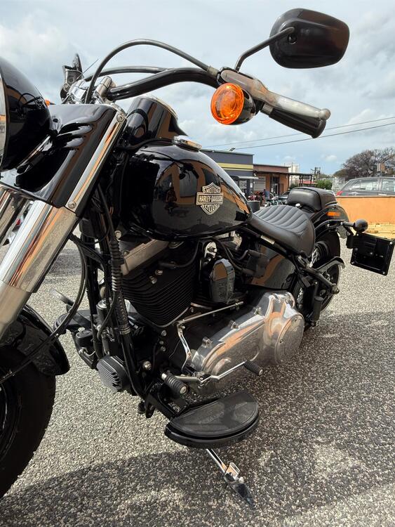 Harley-Davidson 1690 Slim (2017) - FLS (4)