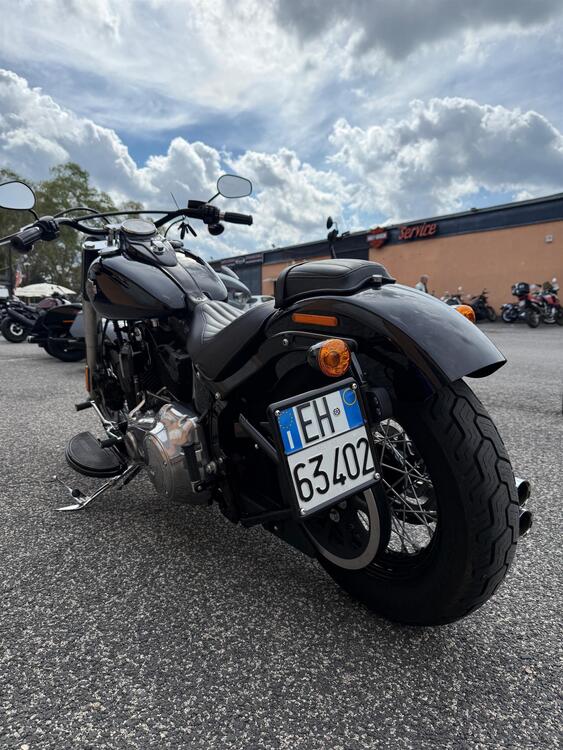 Harley-Davidson 1690 Slim (2017) - FLS (3)