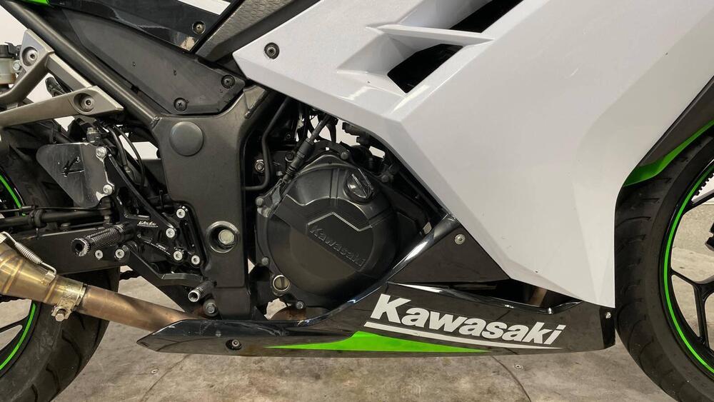 Kawasaki Ninja 300 ABS (2012 - 16) (4)