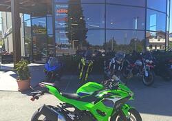 Kawasaki Ninja 500 SE (2024 - 26) nuova