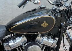 Harley-Davidson Softail Standard (2020) - FXST usata