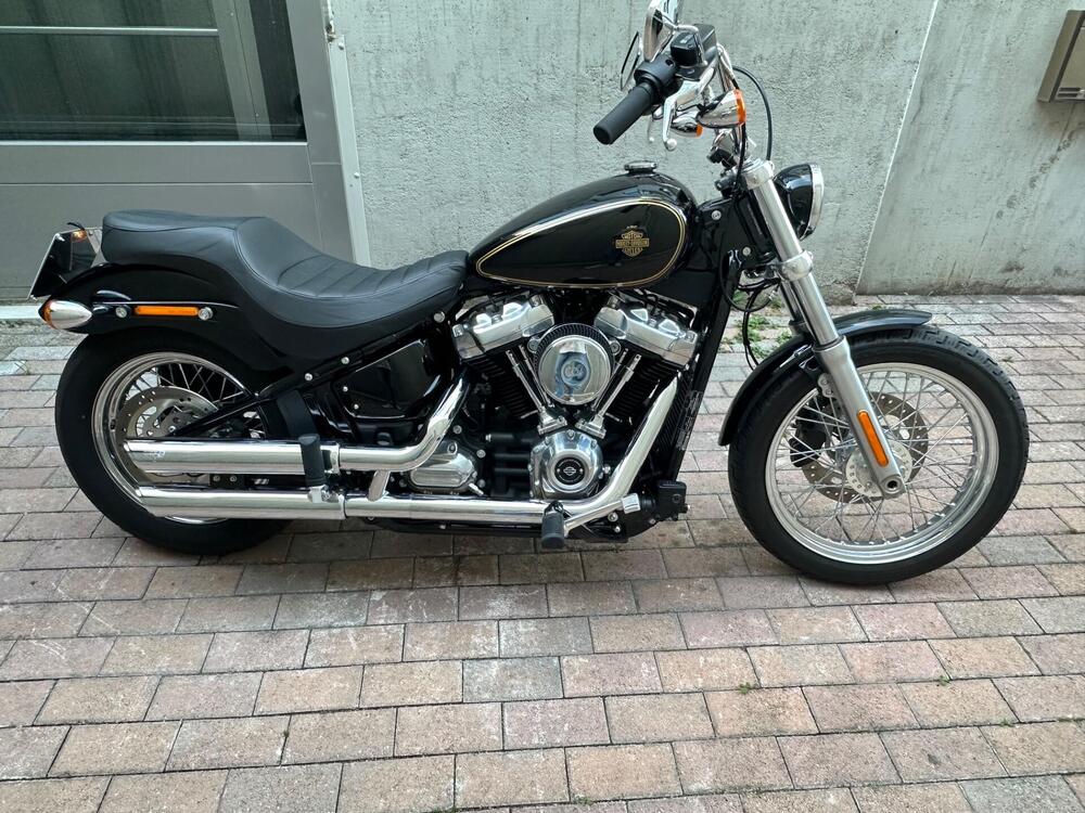 Harley-Davidson Softail Standard (2020) - FXST (2)