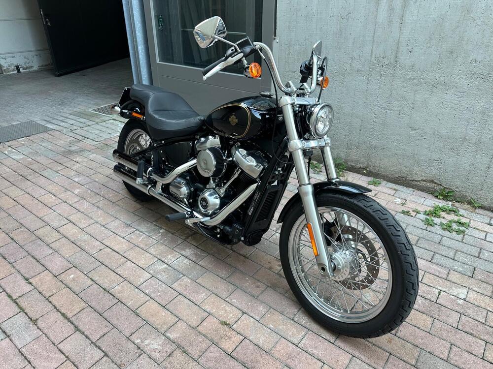 Harley-Davidson Softail Standard (2020) - FXST (4)