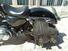 Harley-Davidson 1200 Custom (2004 - 06) - XL 1200C (6)