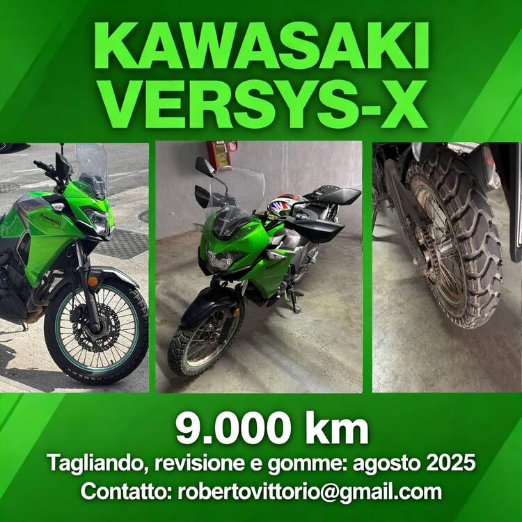 Kawasaki Versys-X 300 Adventure (2017 - 19) (4)