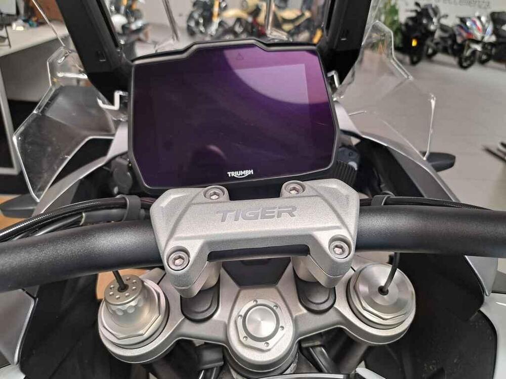 Triumph Tiger 1200 GT Pro (2024 - 25) (5)