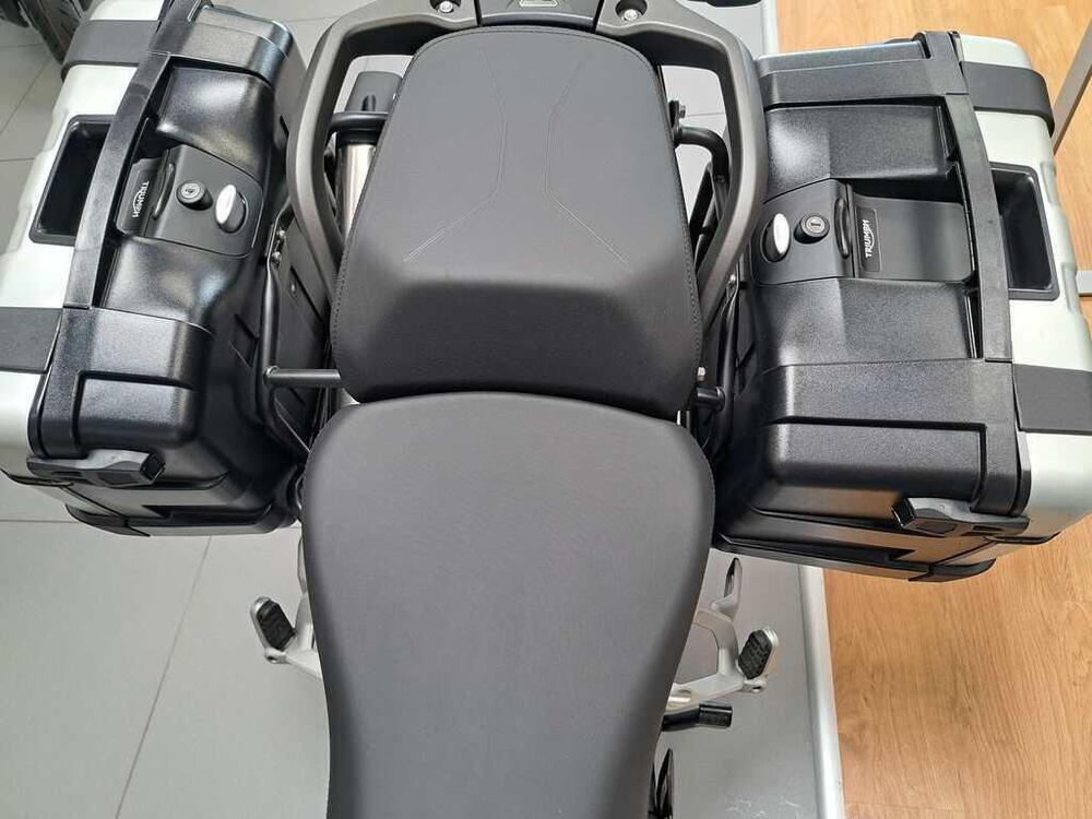 Triumph Tiger 1200 GT Pro (2024 - 25) (3)