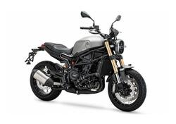 Benelli Leoncino 800 (2022 - 25) usata