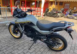 Honda Transalp XL750 (2025) nuova