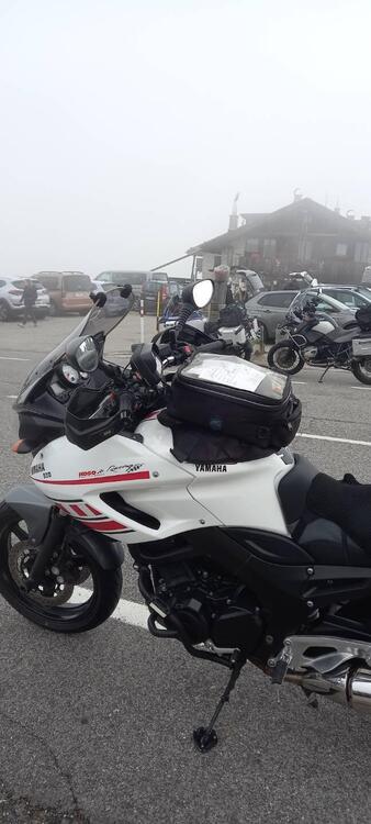 Yamaha TDM 900 (2002 - 14) (5)