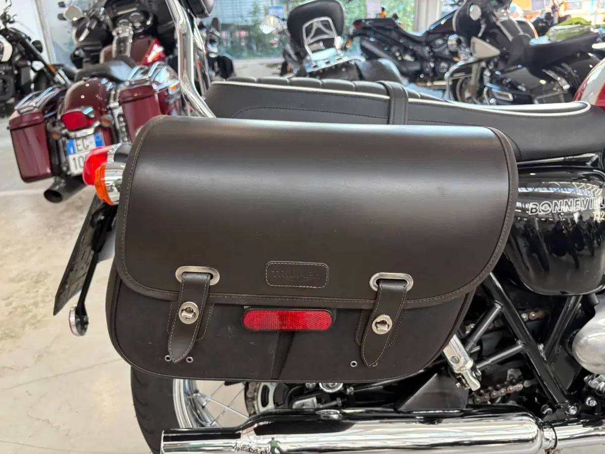 Triumph Bonneville T120 (2016 - 20) (6)