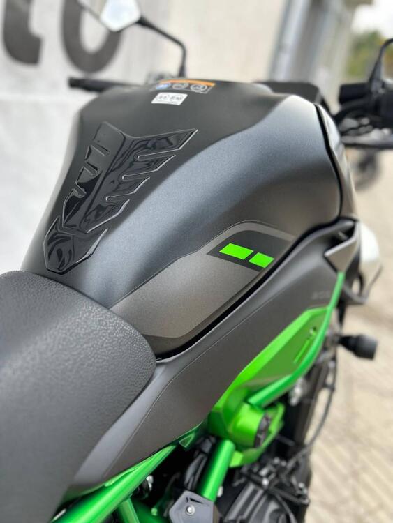 Kawasaki Z 900 (2025 - 26) (5)