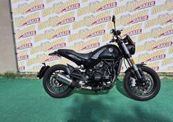 Benelli Leoncino 500 Trail (2021 - 25) usata