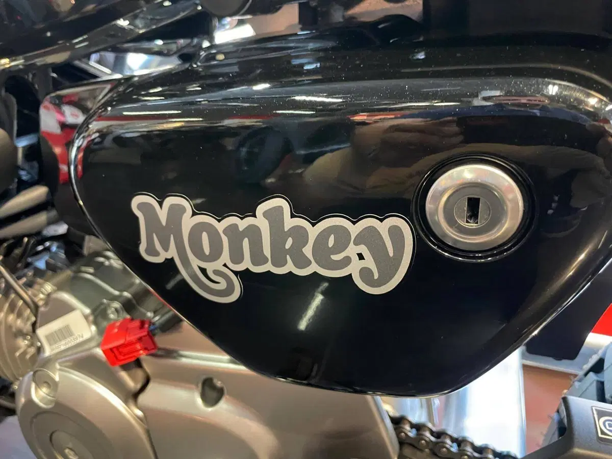 Honda Monkey 125 (2025 - 26) (3)