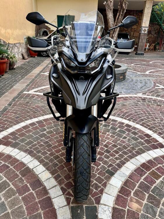 QJ Motor SRT 800 SX (2024 - 25) (2)