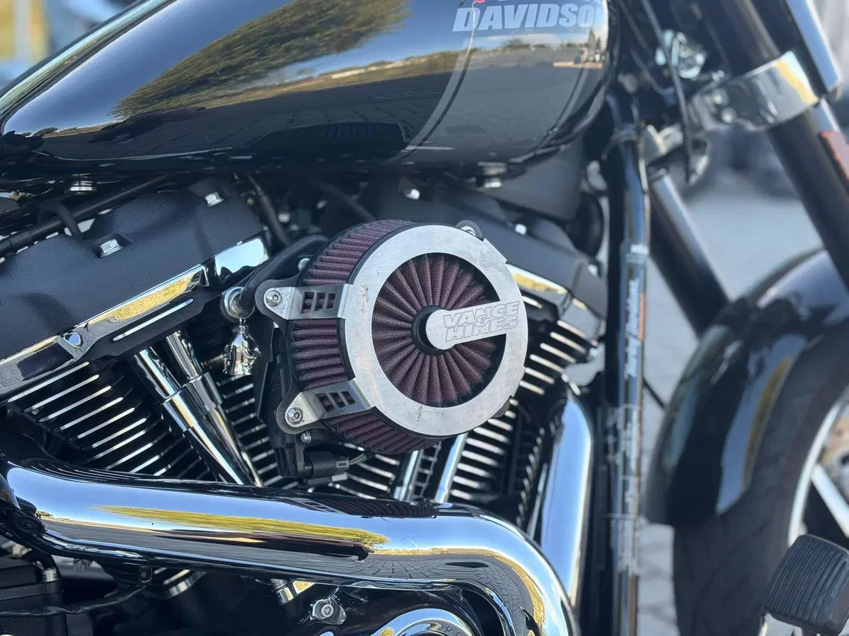 Harley-Davidson Sport Glide (2021 - 25) (2)