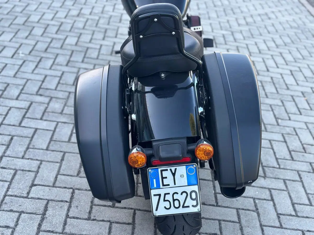 Harley-Davidson Sport Glide (2021 - 25) (14)