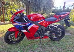 Honda CBR 600 RR (2024 - 25) usata