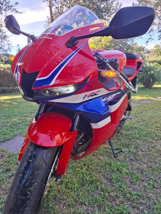 Honda CBR 600 RR (2024 - 25) (5)