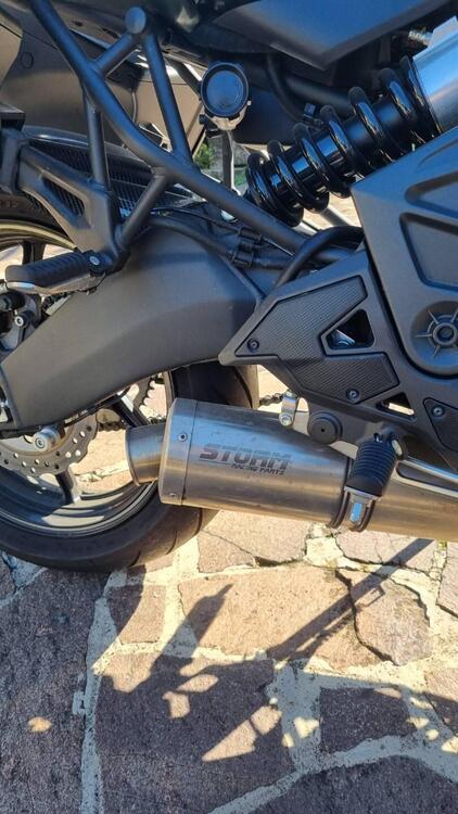 Kawasaki Versys 650 Grand Tourer (2021) (5)