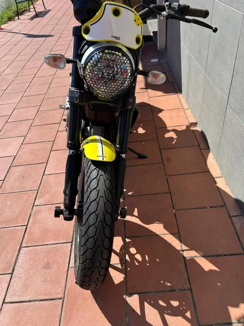 Ducati Scrambler 800 Flat Track Pro (2016 - 17) (8)